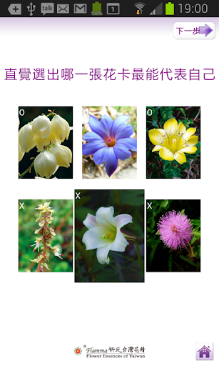 【免費生活App】花卡關係牌陣-APP點子