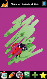 Scratch Collection for kids poster 4