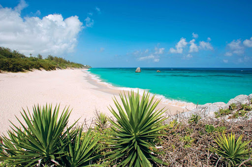 Turquoise waters lap at the pink-hued sands of Elbow Beach, Bermuda.