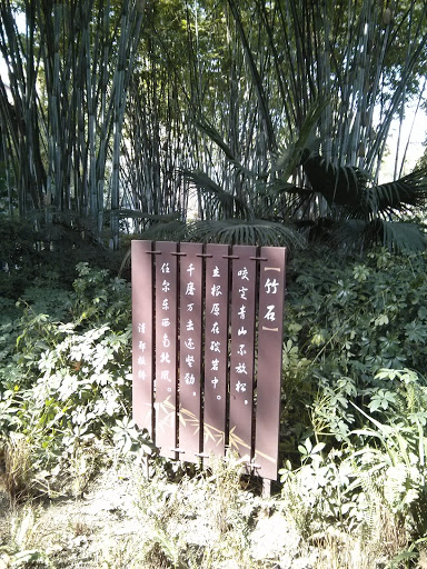 竹石