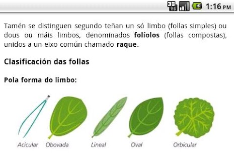 Guía de árboles