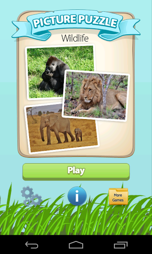 Picture Puzzle Wild Animals