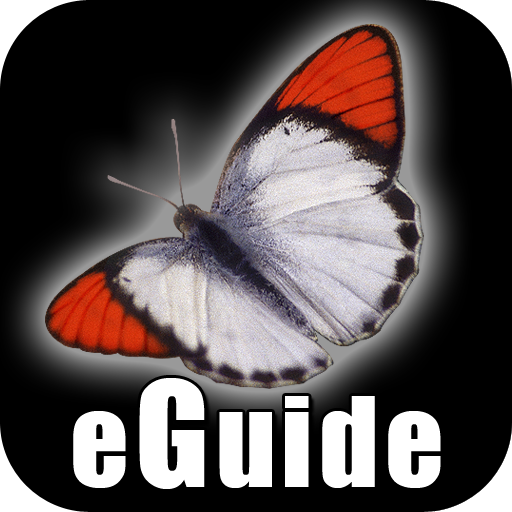 Butterfly eGuide 攝影 App LOGO-APP開箱王