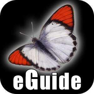 Butterfly eGuide 1.1