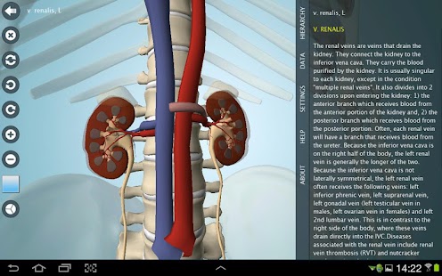 Anatomy 3D - Anatronica on the App Store - iTunes - Apple