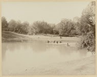 Herders dragen schapen over de Jordaan