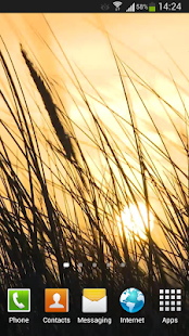 download Grass Live Wallpaper HD free