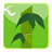keeworld Theme: Bamboo