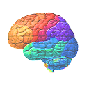 Brain Wars mobile app icon