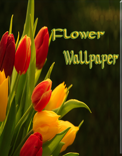 flowers wallpapers