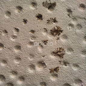 by Илија Марковић - Abstract Patterns