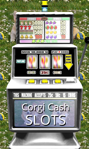 3D Corgi Cash Slots