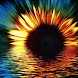 HD GIRASOLE TRAMONTO LWP