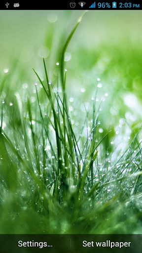 Grasses Live Wallpaper