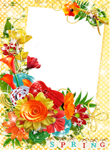 How to get Spring Love Frames patch 2 apk for bluestacks
