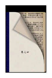 Ear bag Volume Four poster 2