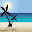 Gulf Coast Entertainment Download on Windows