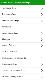 How to get นกกรงหัวจุก 3.3.6 unlimited apk for android