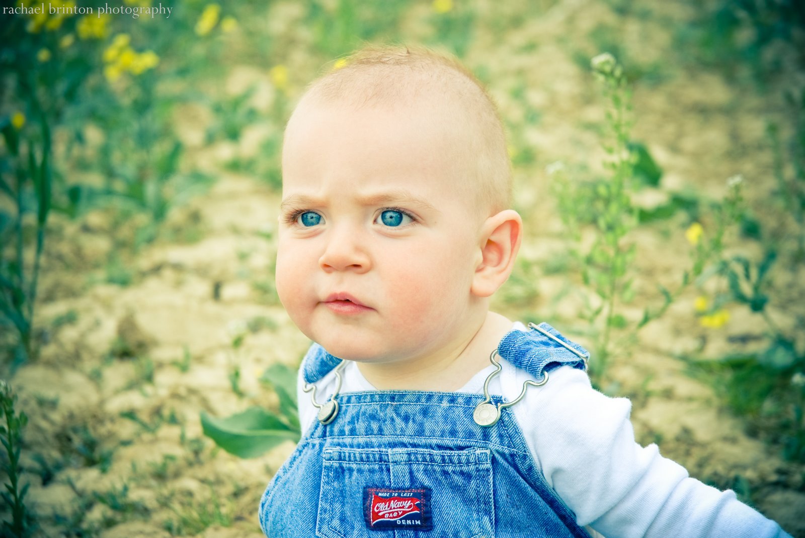 [May 2008-666[11].jpg]