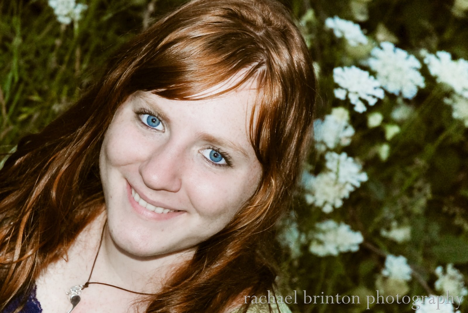 [Idaho 2008-5214[2].jpg]