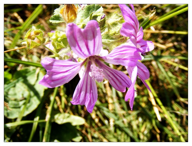 [2008_08050090 copy[3].jpg]