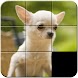 Puppies Puzzle