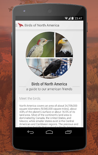 Birdlife of North America Free