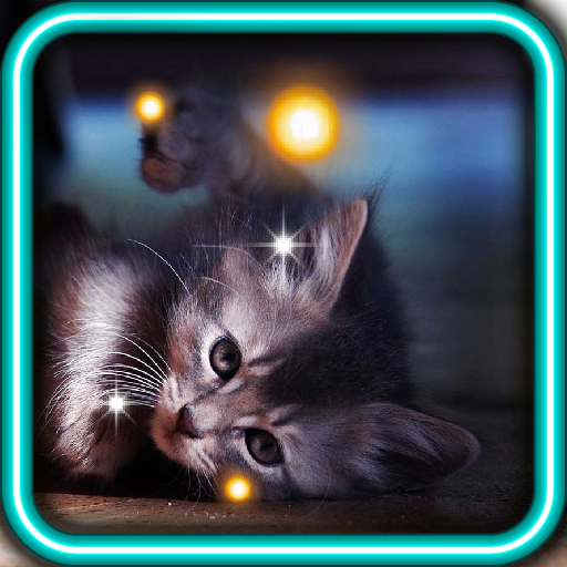 Pet Kitty HD Live Wallpaper LOGO-APP點子