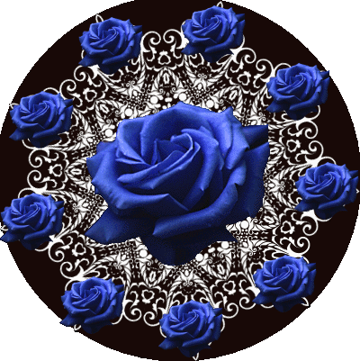 aa.png=800width=500