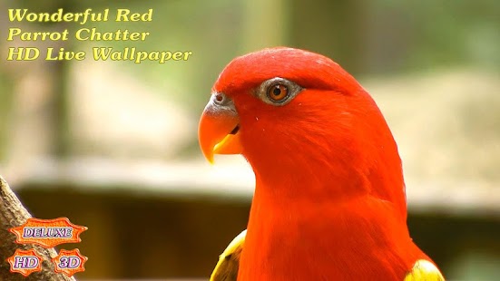 How to download Wonderful Red Parrots Chatter 1.4.5 apk for android