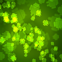 How Irish Am I? logo