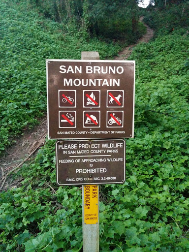 San Bruno Mountain Path
