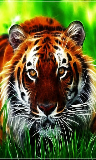 Tiger Live Wallpaper