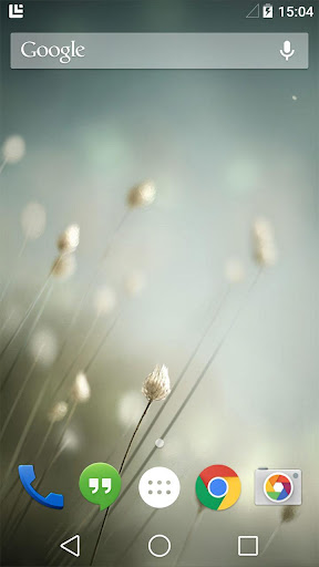 White Flowers Live Wallpaper