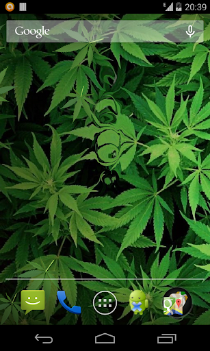 【免費個人化App】Marijuana Live Wallpaper HD-APP點子