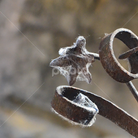 The iron flower by Vladimir Bogovac - Buildings & Architecture Architectural Detail