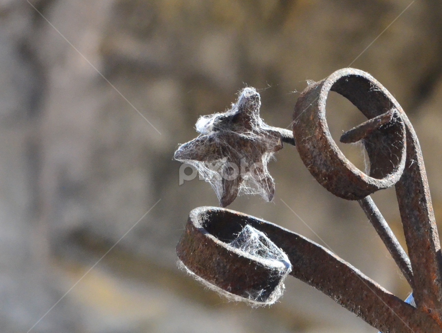 The iron flower by Vladimir Bogovac - Buildings & Architecture Architectural Detail