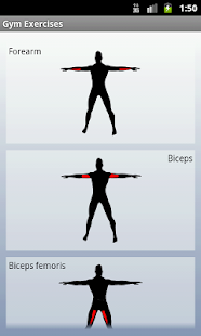 Download Gym Exercises APK