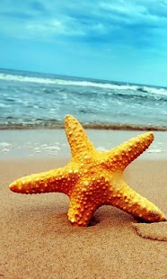 Under Sea Wallpaper Screenshots 1