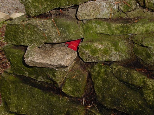 [geodpcache1web[4].jpg]