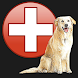 Dog Emergency