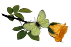 flor33.png