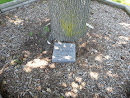 Commemorative Tree