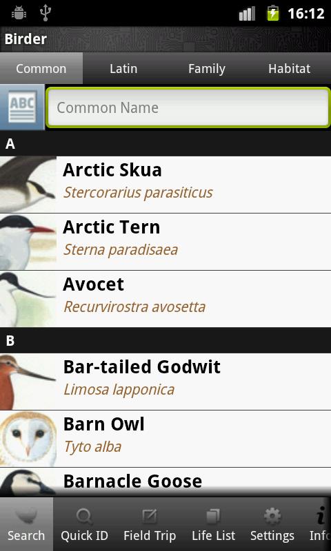 Birder Screen 2