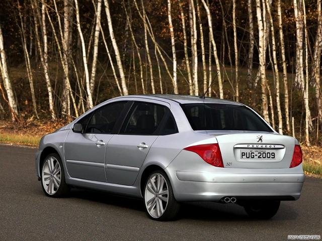 [307 Sedan Cinza Aluminium[3].jpg]