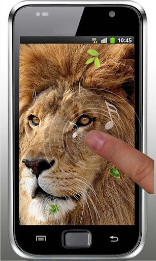 【免費個人化App】Lions Wild HD live wallpaper-APP點子