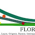 Assembleia constituinte da FLORIR - Família, Laços, Origens, Rumos,
Interajuda e Rede - Associação de Família