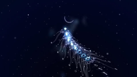 [screenshot002[4].jpg]
