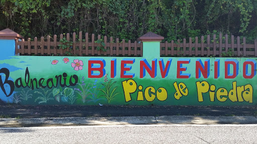 Bienvenidos Balneario Pico De Piedra Mural