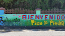 Bienvenidos Balneario Pico De Piedra Mural